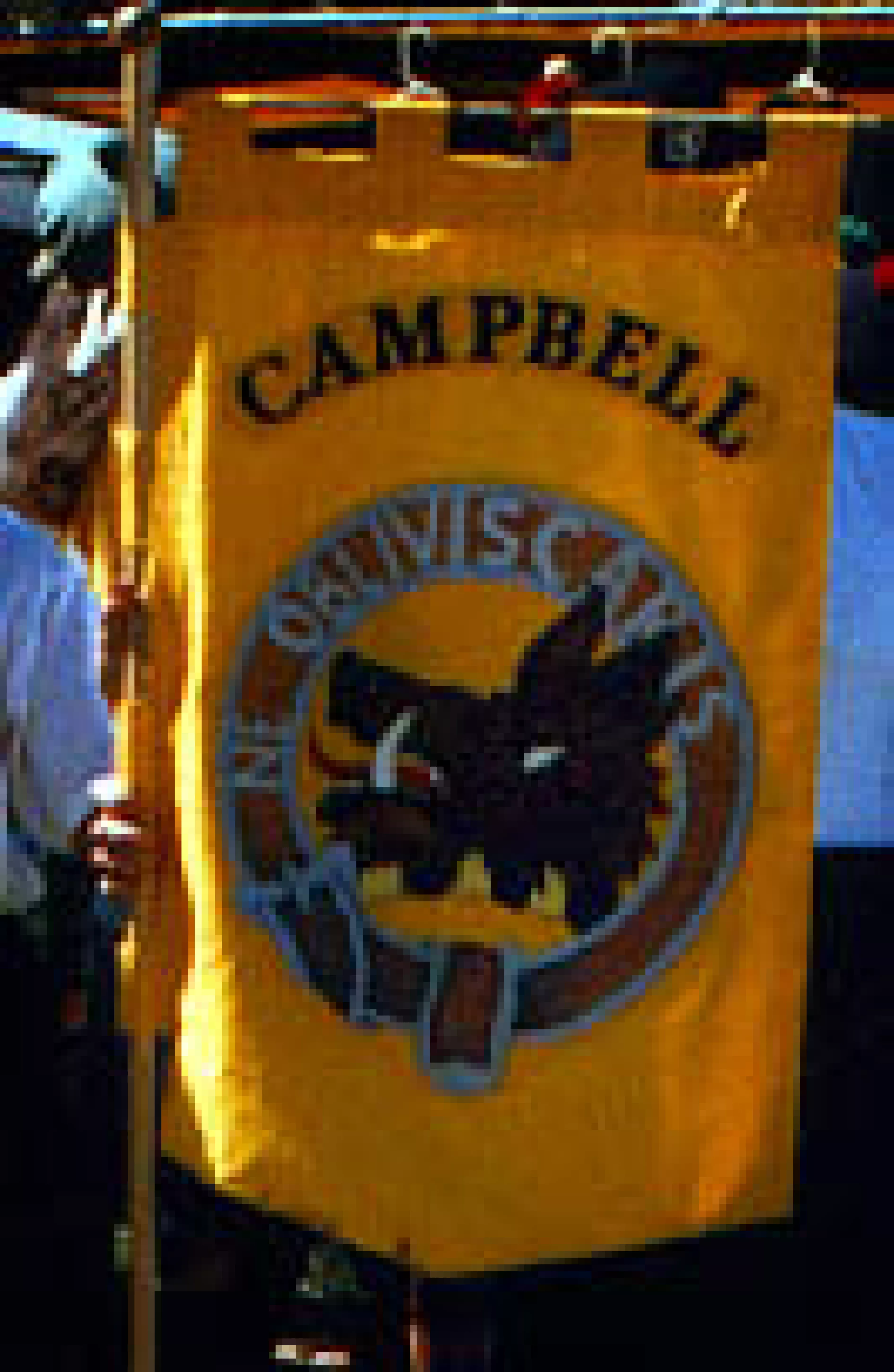 Clan-Campbell-Boars-Head-Banner-1.jpg